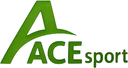 Công Ty Cổ Phần ACEsport